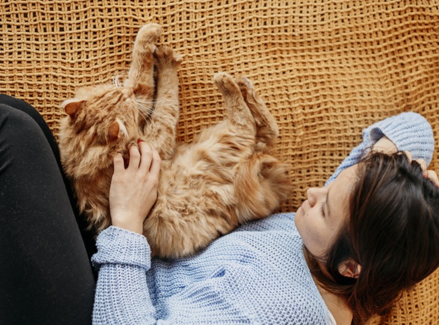 Detail Kata Kata Kucing Lucu Nomer 49