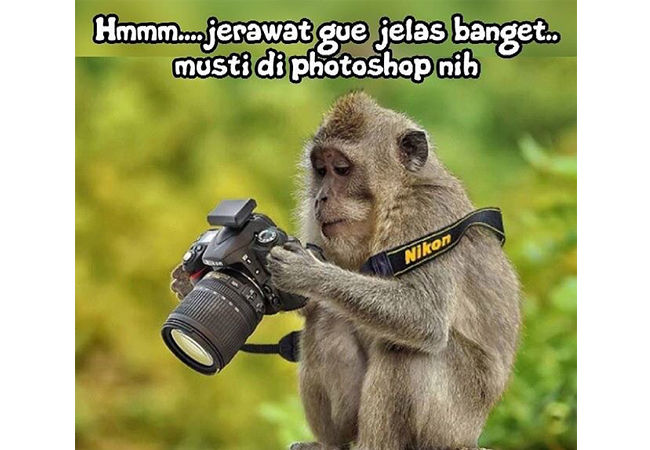 Detail Kata Kata Lucu Bergambar Monyet Nomer 16