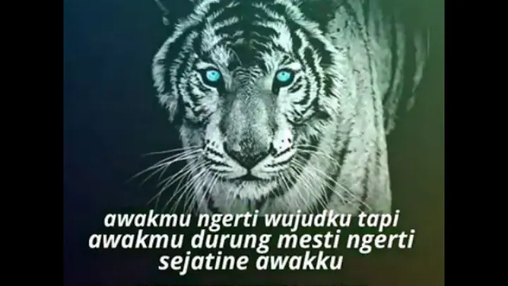 Detail Kata Kata Macan Putih Nomer 3