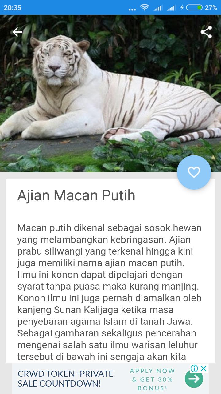 Detail Kata Kata Macan Putih Nomer 46