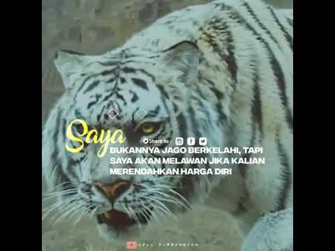 Detail Kata Kata Macan Putih Nomer 8