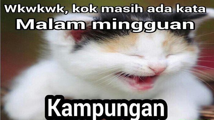 Detail Kata Kata Malam Minggu Di Rumah Nomer 37