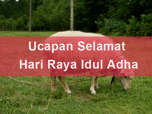 Detail Kata Kata Mutiara Hari Raya Idul Adha Nomer 57