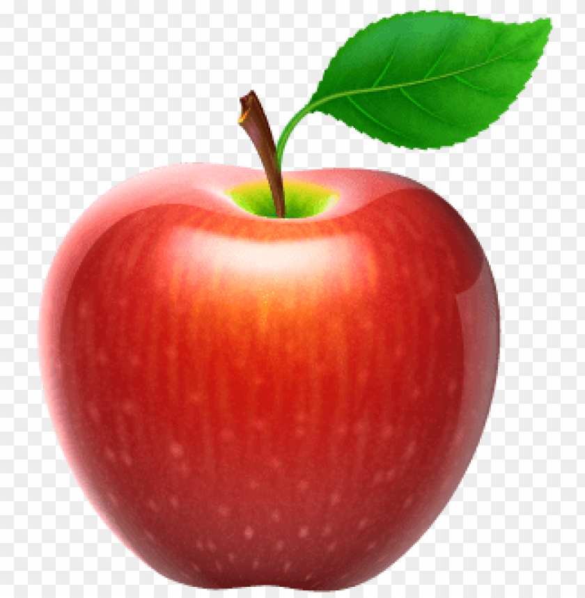 Detail Apple Fruit Png Nomer 2