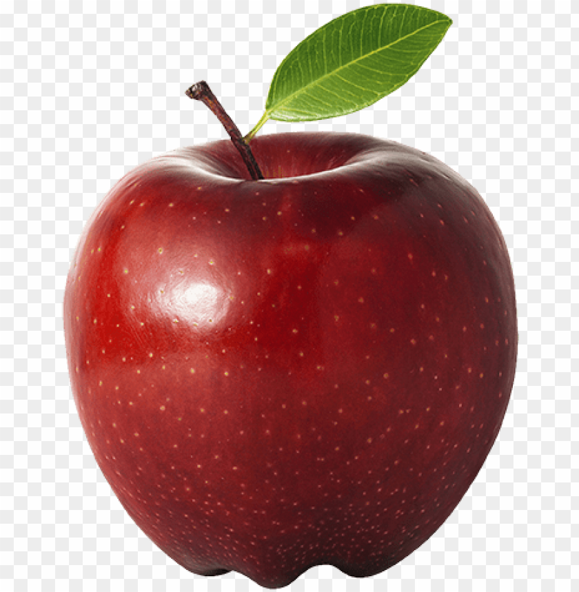 Detail Apple Fruit Png Nomer 5