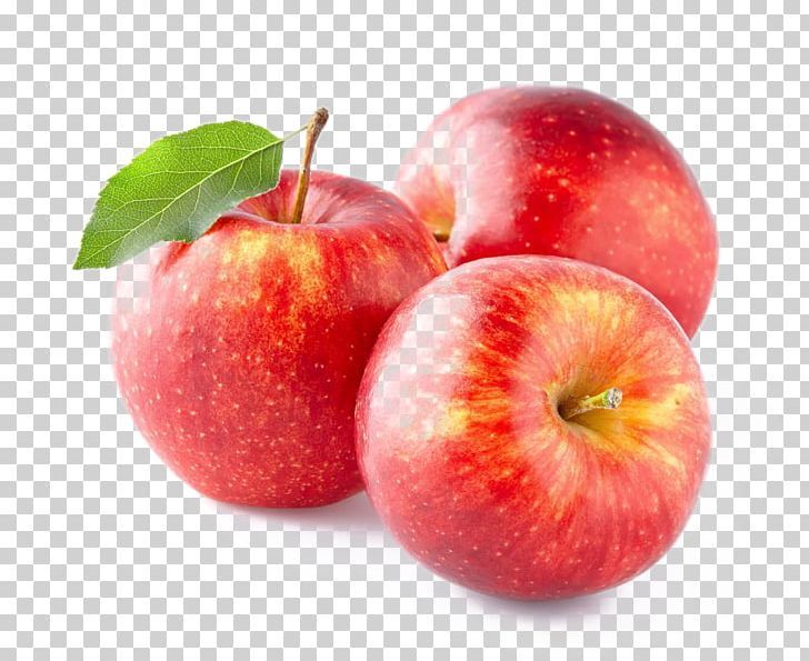 Detail Apple Fruit Png Nomer 40