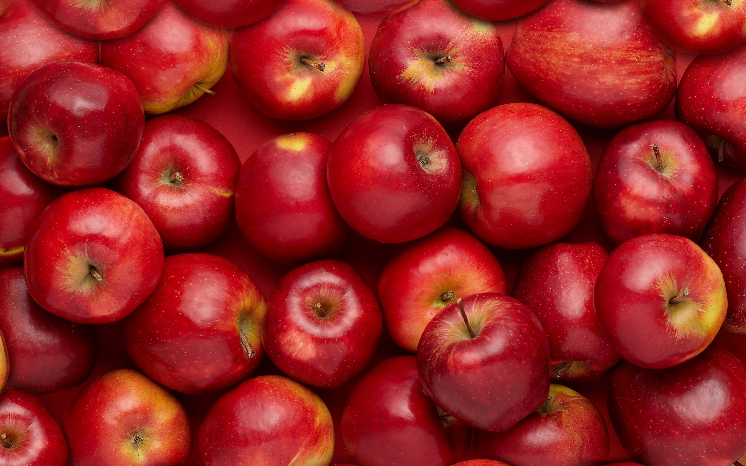 Detail Apple Fruit Wallpaper Nomer 13