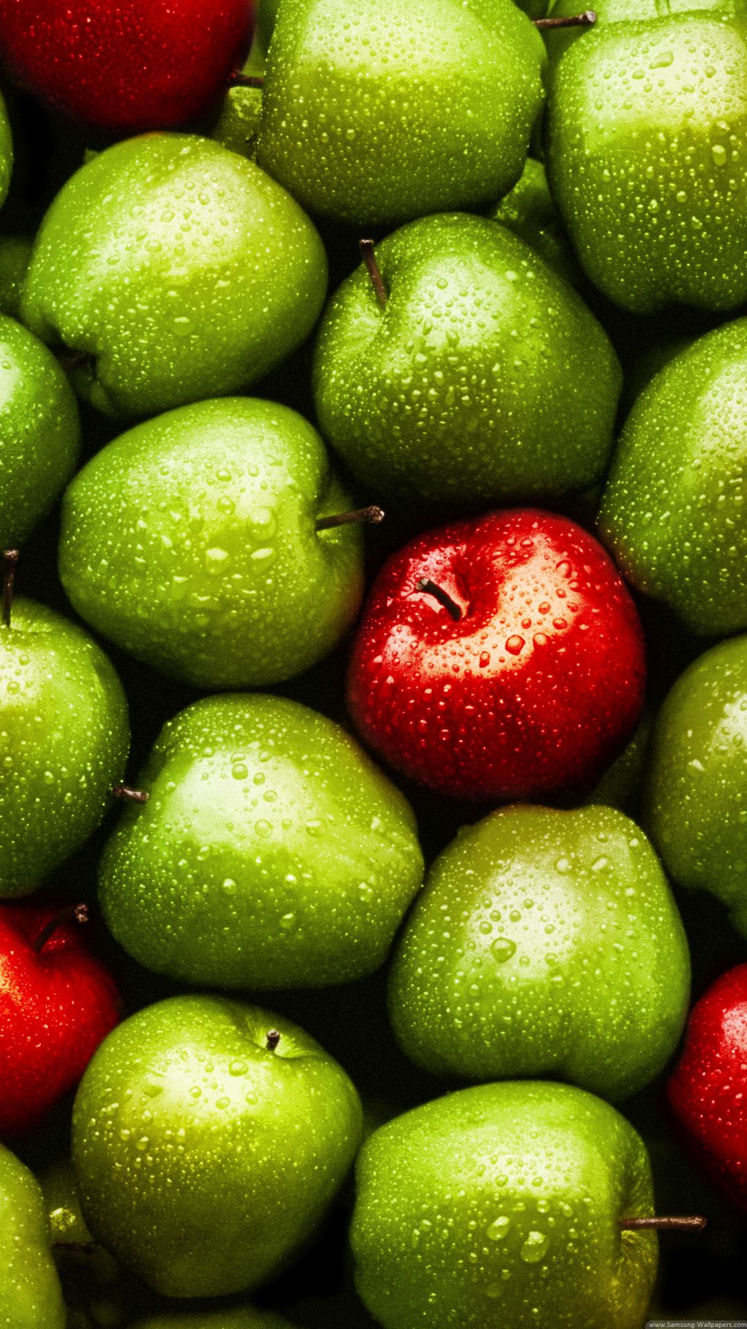 Detail Apple Fruit Wallpaper Nomer 21