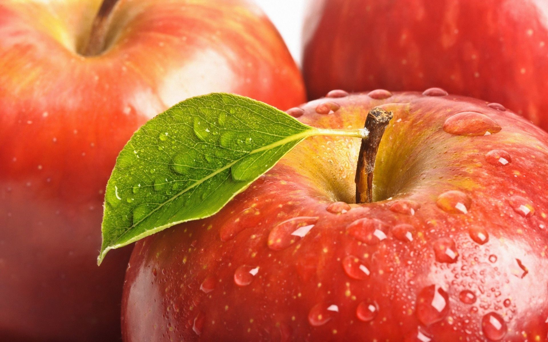 Detail Apple Fruit Wallpaper Nomer 6