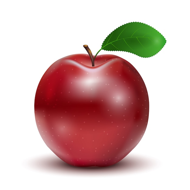 Detail Apple Image Download Nomer 21