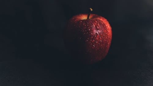 Detail Apple Image Download Nomer 36