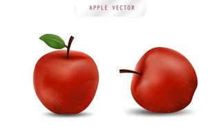 Detail Apple Images Download Nomer 51