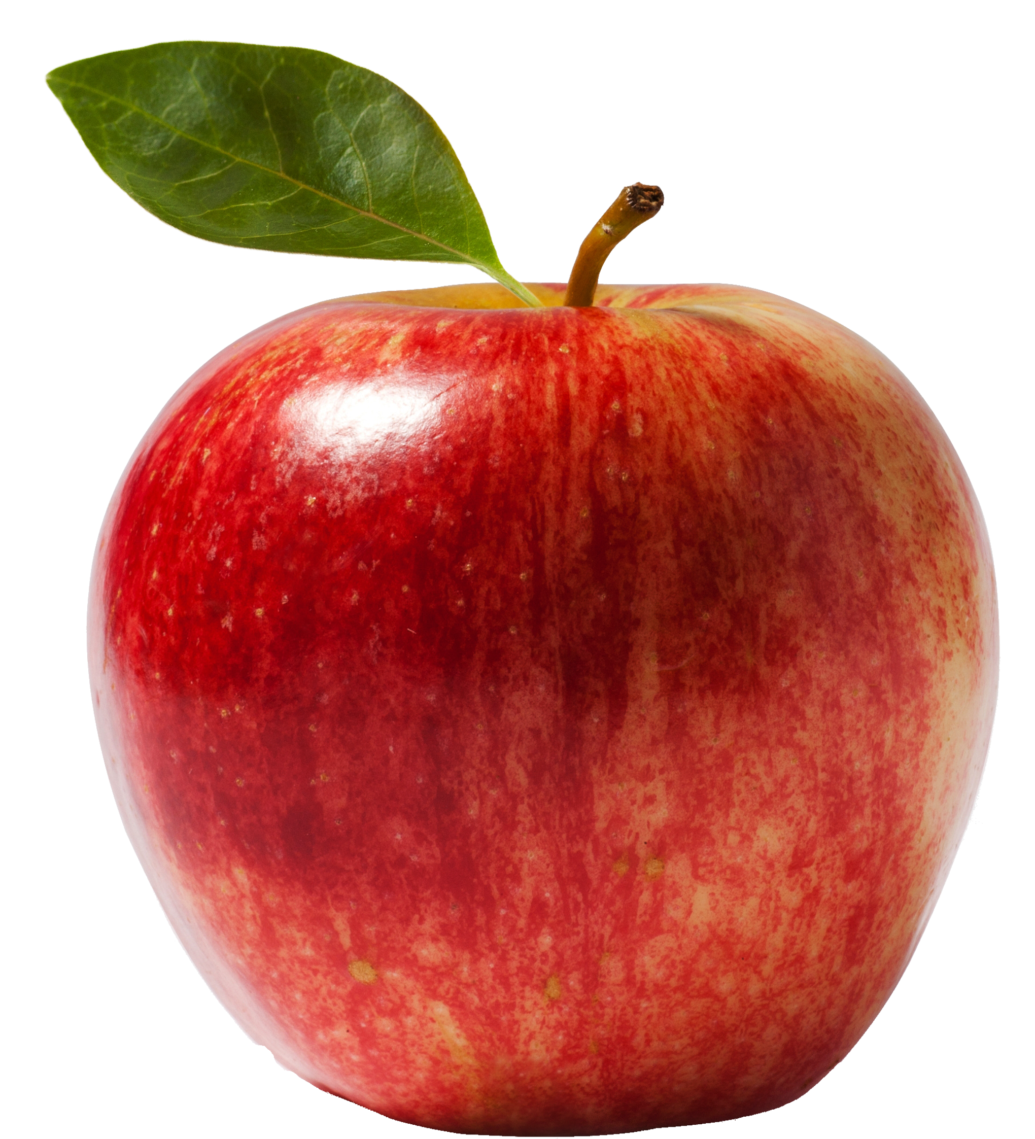 Detail Apple Img Nomer 12