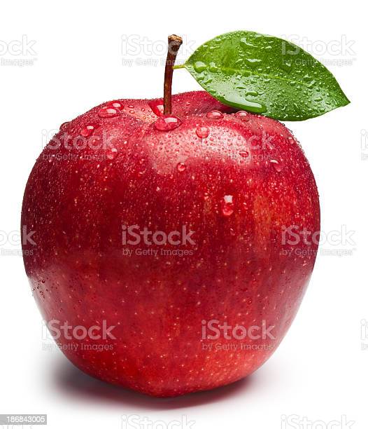 Detail Apple Picture Download Nomer 18