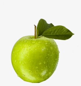Detail Apple Picture Download Nomer 48
