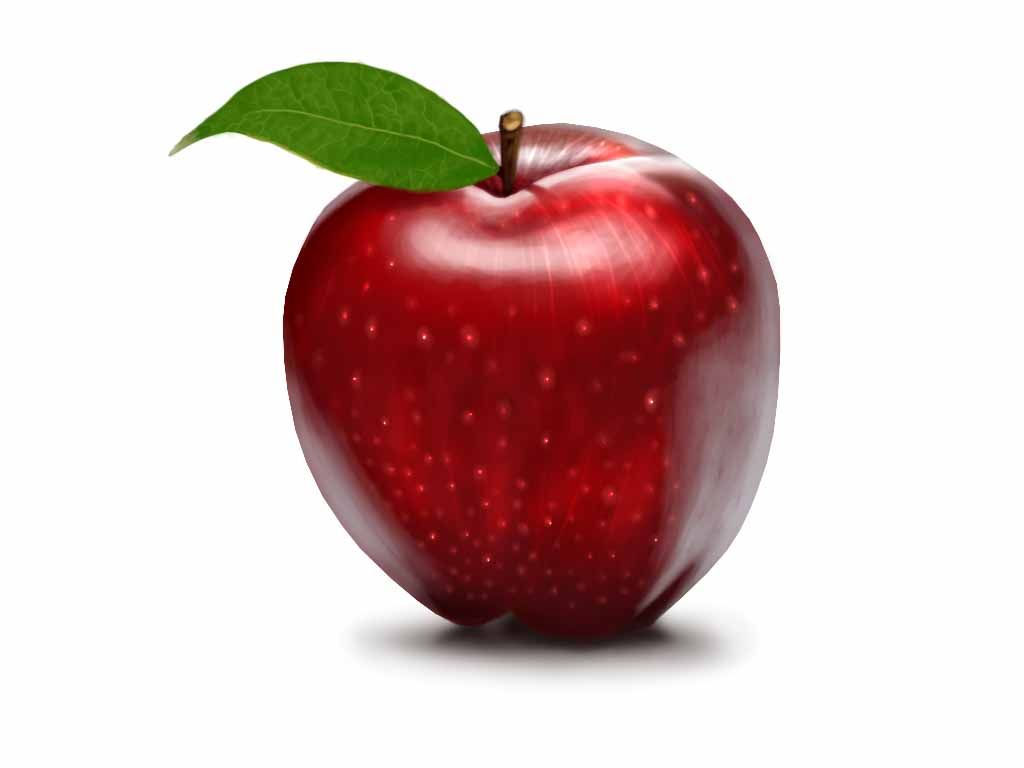 Detail Apple Picture Download Nomer 7