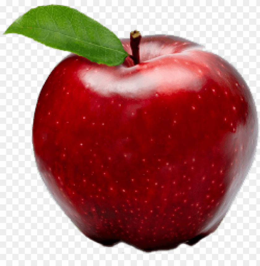 Detail Apple Transparent Background Nomer 8