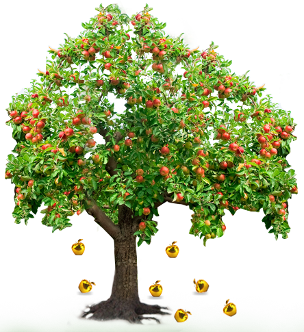 Detail Apple Tree Png Nomer 22