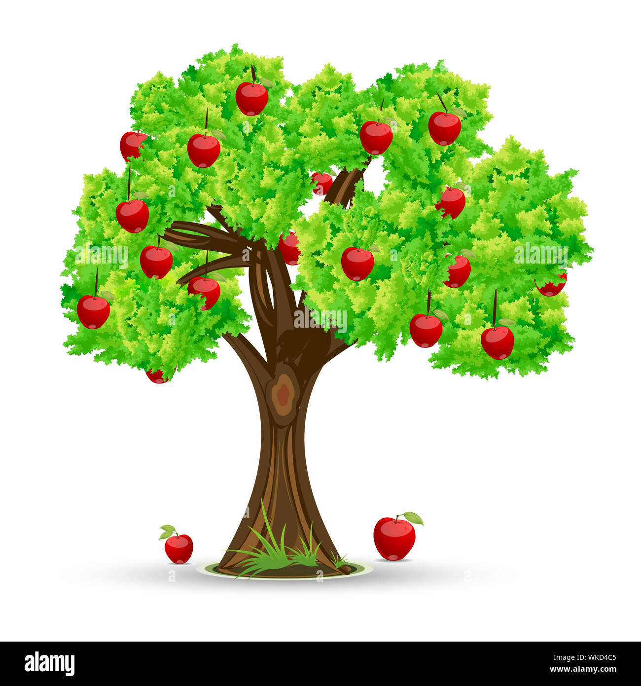 Detail Apple Tree Png Nomer 32