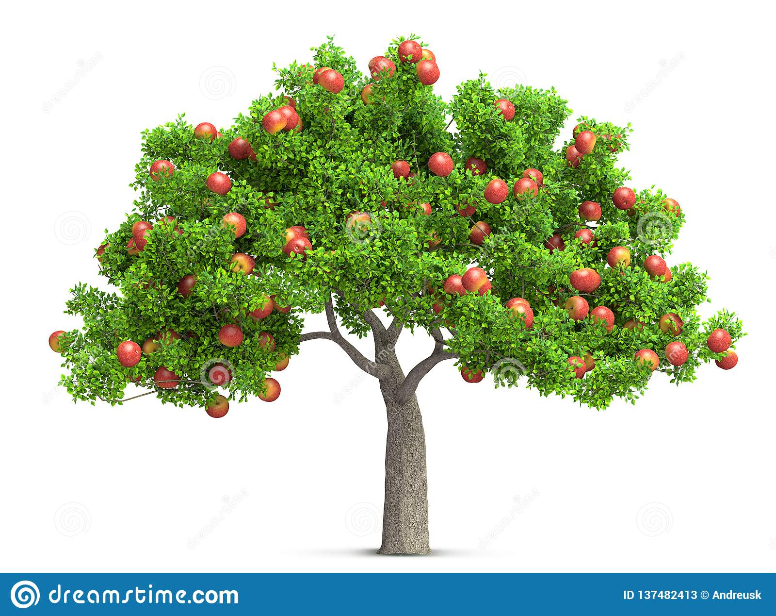 Detail Apple Tree Png Nomer 5