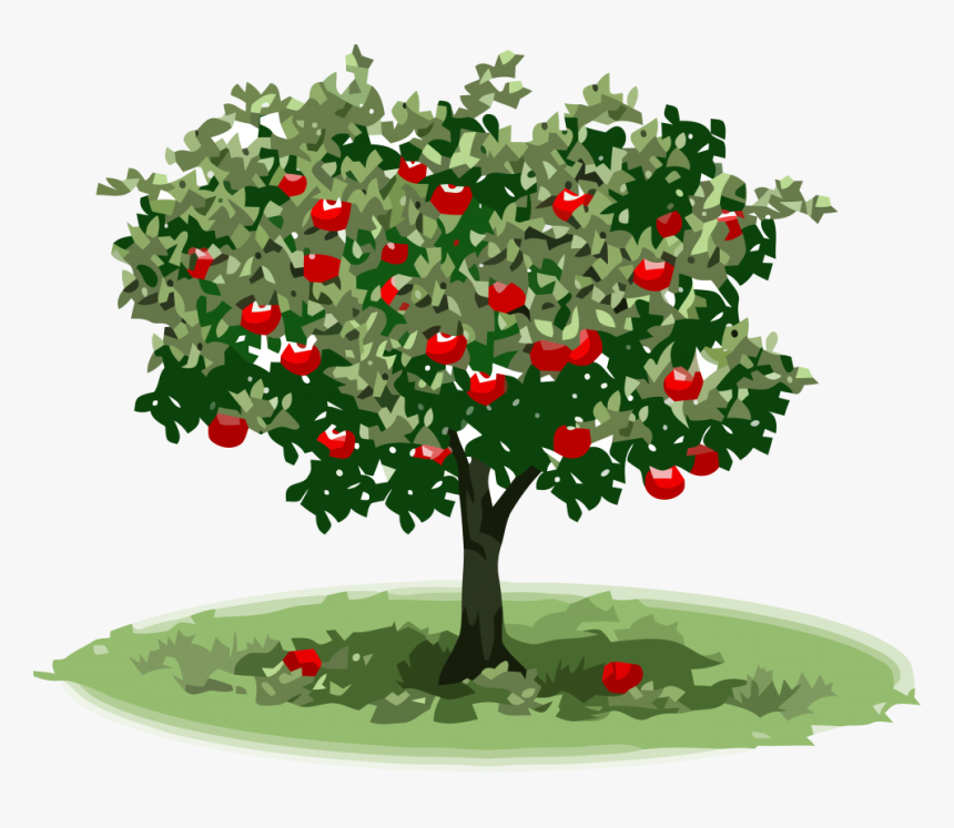 Detail Apple Tree Png Nomer 9