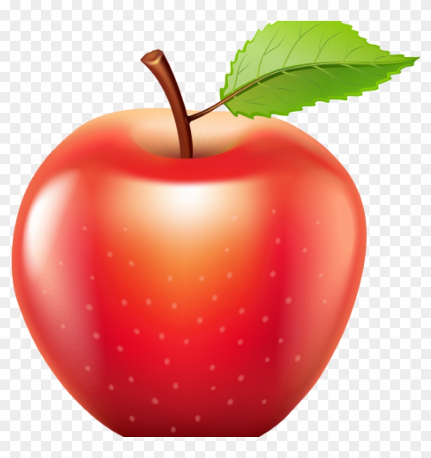 Detail Apple Vector Png Nomer 10