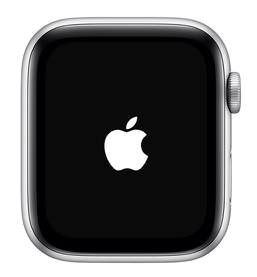 Detail Apple Watch Logo Png Nomer 9