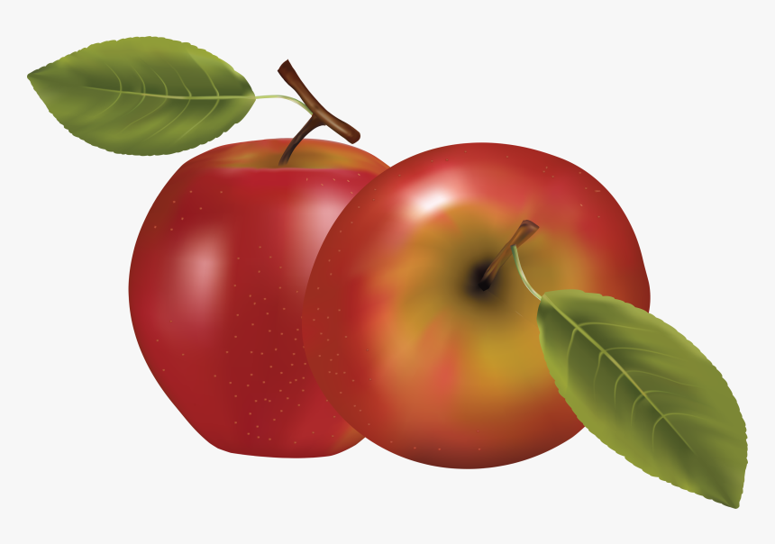 Detail Apple With Transparent Background Nomer 41