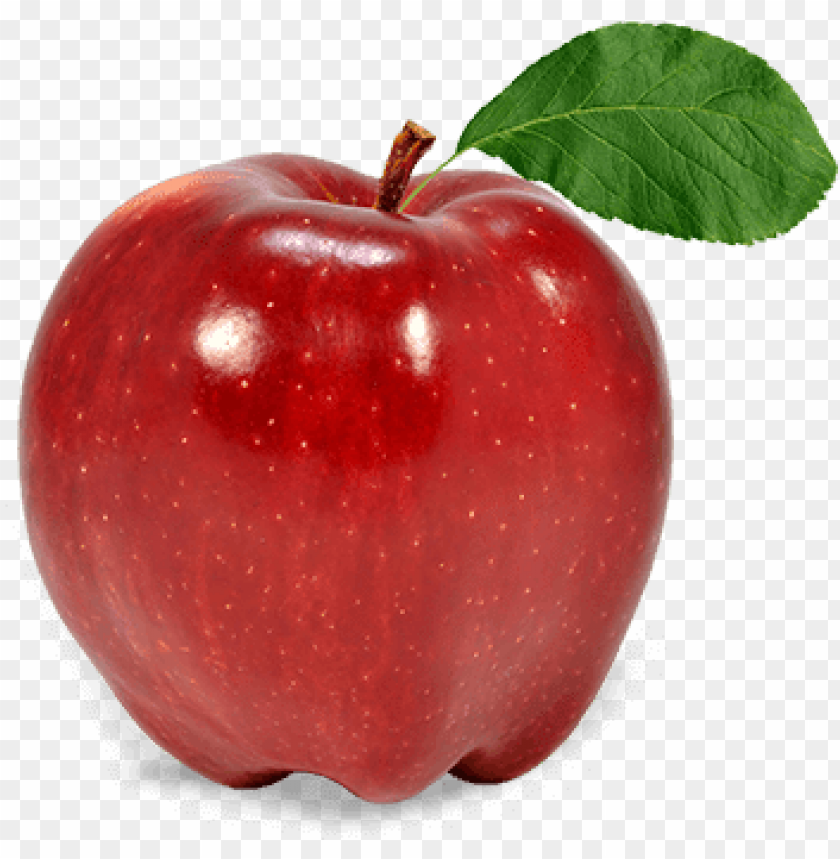 Detail Apple With Transparent Background Nomer 5