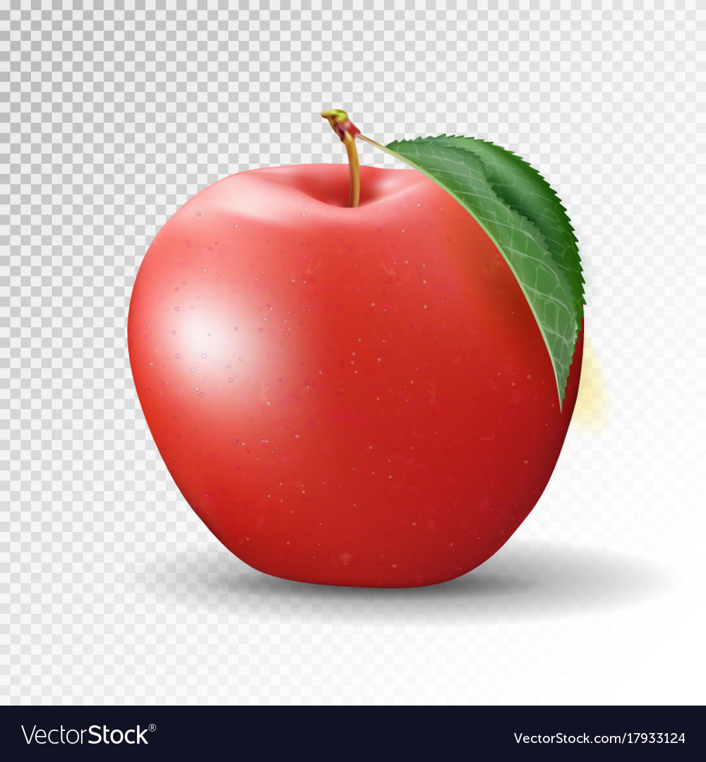 Detail Apples No Background Nomer 10