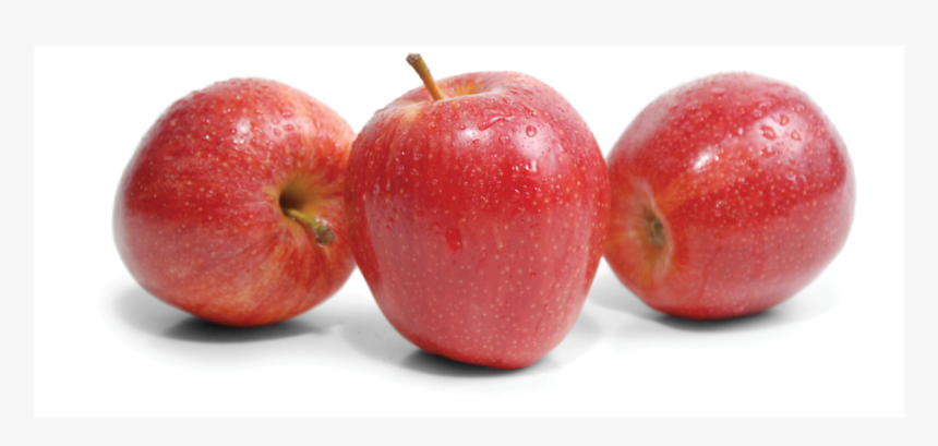 Detail Apples No Background Nomer 14
