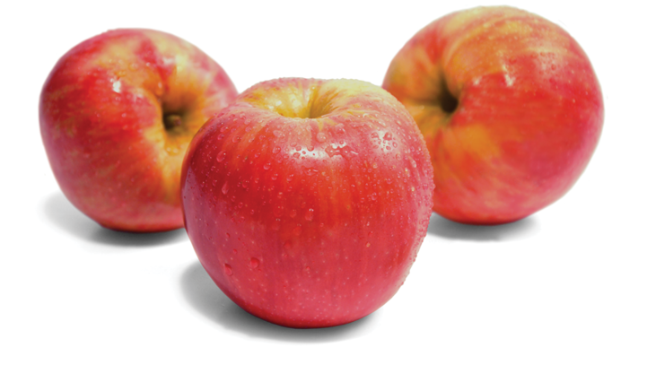 Detail Apples No Background Nomer 34