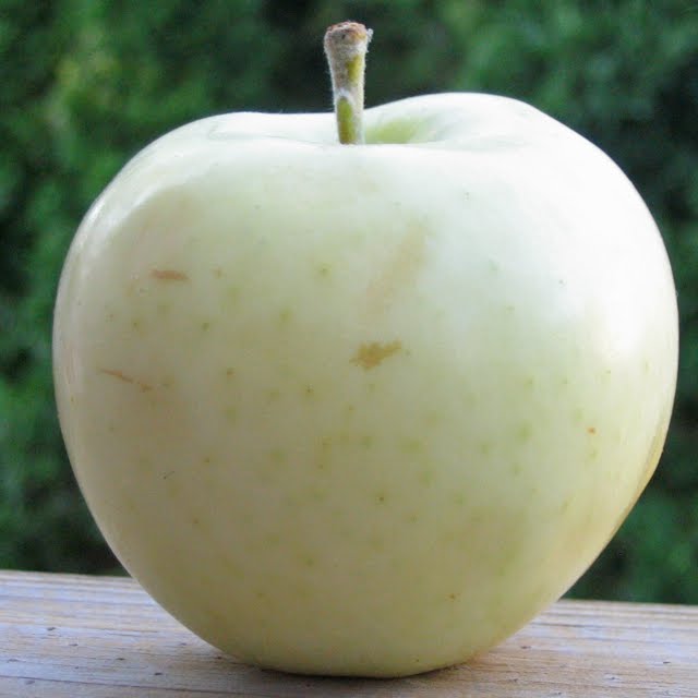 Detail Apples Transparent Nomer 24