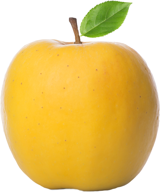 Detail Apples Transparent Background Nomer 42