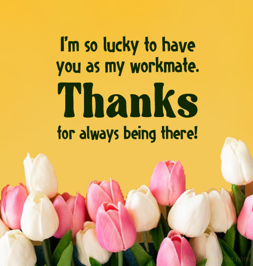 Appreciation Quotes For Colleagues - KibrisPDR