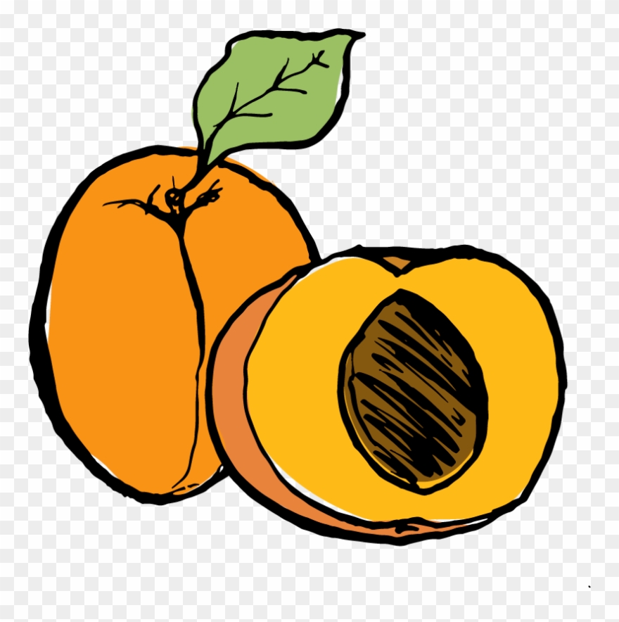 Detail Apricot Clipart Nomer 13