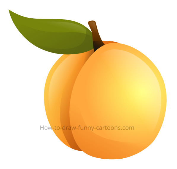 Detail Apricot Clipart Nomer 3