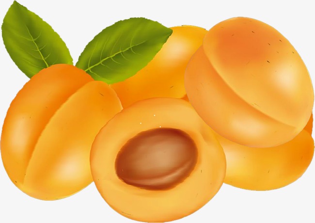 Detail Apricot Clipart Nomer 23