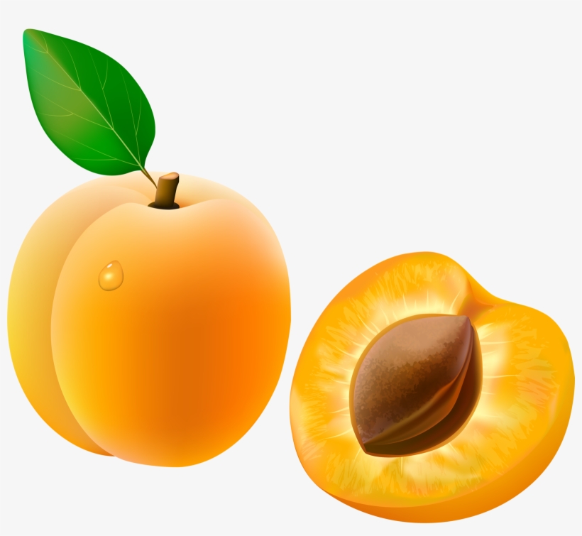 Detail Apricot Clipart Nomer 4