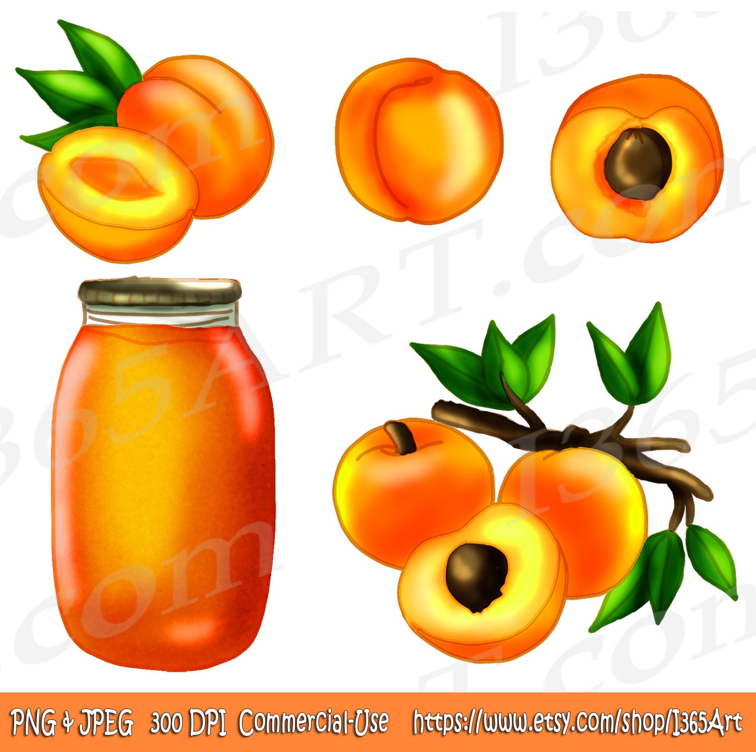 Detail Apricot Clipart Nomer 27