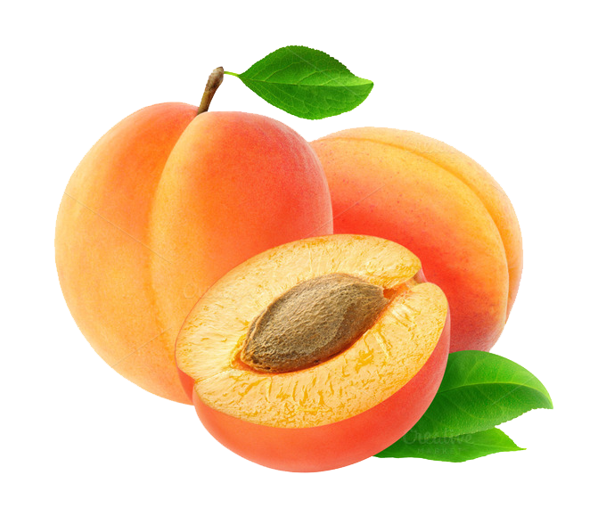 Detail Apricot Clipart Nomer 33