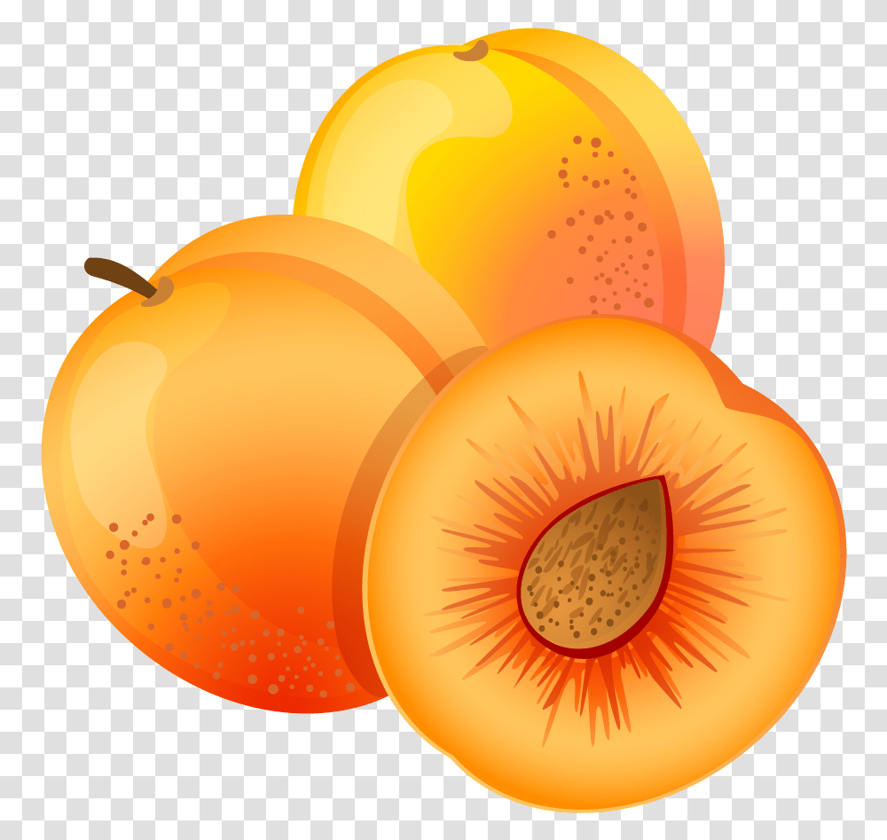 Detail Apricot Clipart Nomer 8