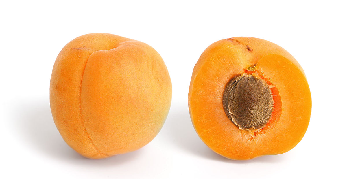 Apricot Fruit Image - KibrisPDR