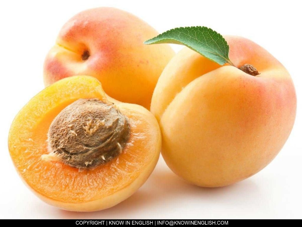 Detail Apricot Fruit Image Nomer 16