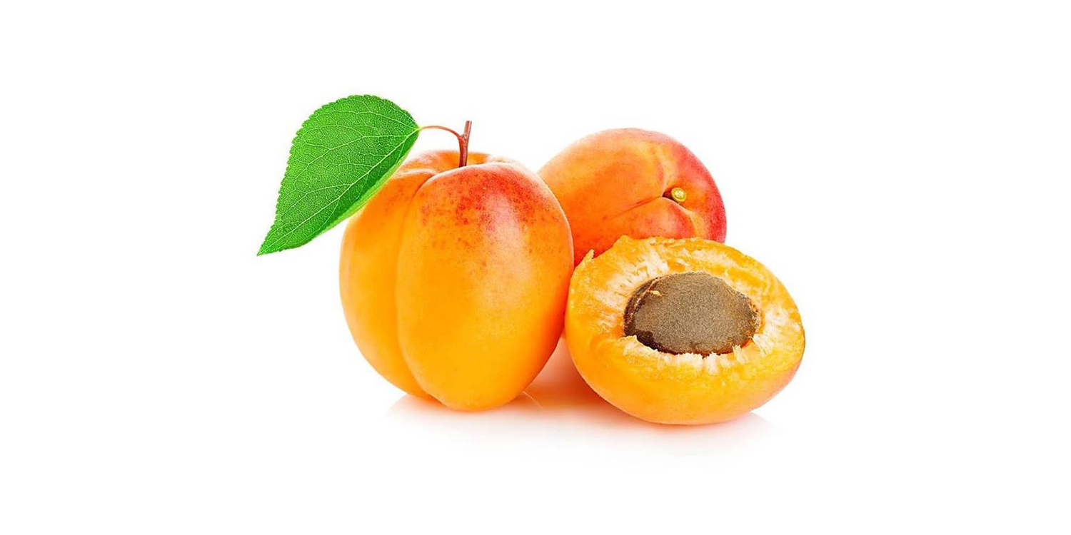 Detail Apricot Fruit Image Nomer 25