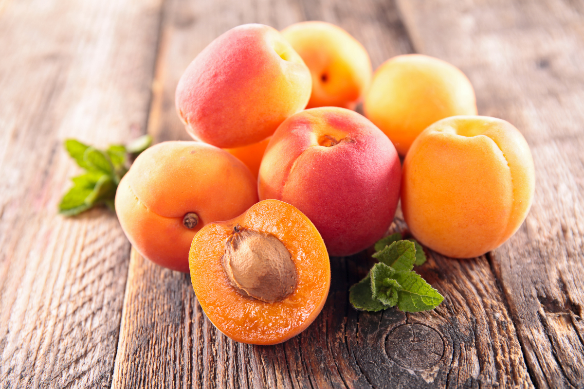 Detail Apricot Fruit Images Nomer 22