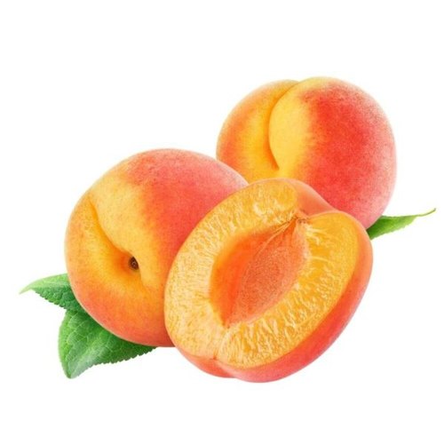 Detail Apricot Fruits Images Nomer 19
