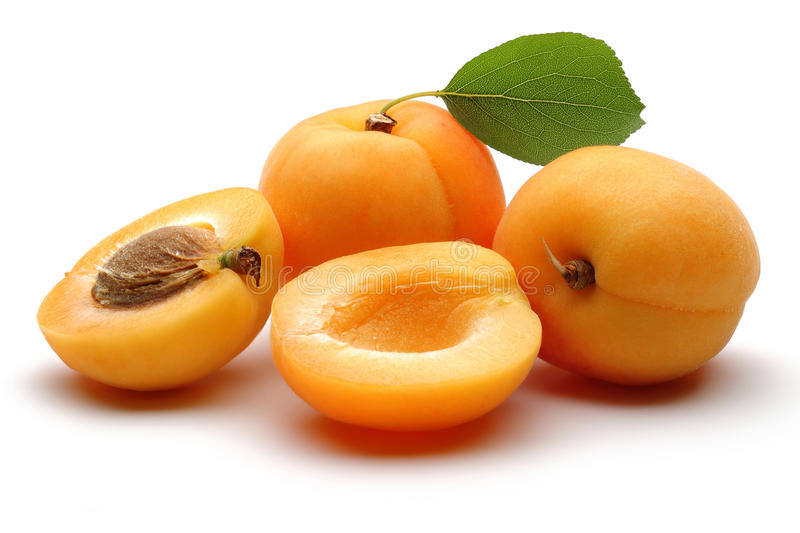 Detail Apricot Fruits Images Nomer 39