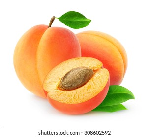 Detail Apricot Fruits Images Nomer 48