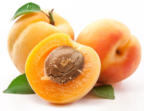 Detail Apricot Fruits Images Nomer 53